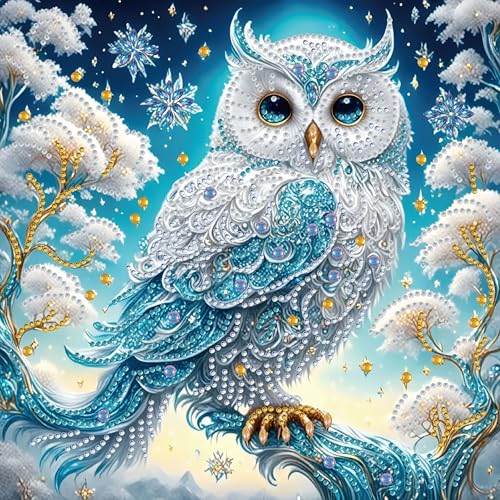 KUFWKEY DIY 5D Partial Diamond Painting Kit for Beginners, Owl Diamond Art Kits for Adults,Special Shaped Crystal Sparkling Art, Frameless Diamond Mosaic Gem Art for Home & Office Decor,12X12 inch - color: LW019
