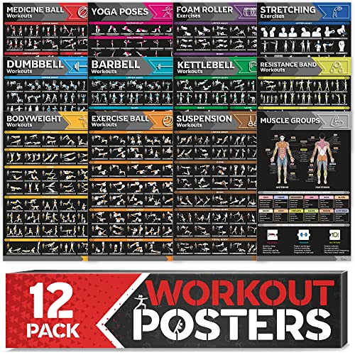 [12-PACK] Laminated Large Workout Poster Set - Perfect Workout Posters for Home Gym - Exercise Charts Incl. Dumbbell, Yoga Poses, Resistance Band, Kettlebell, Stretching & More Fitness Gym Posters - style: Dark