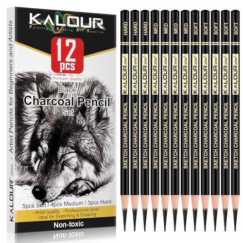 KALOUR Professional Charcoal Pencils Drawing Set -12 Pieces Soft, Medium and Hard Charcoal Pencils for Drawing, Sketching, Shading, Artist Pencils for Beginners & Artists - style: 12 Black Charcoal Pencils