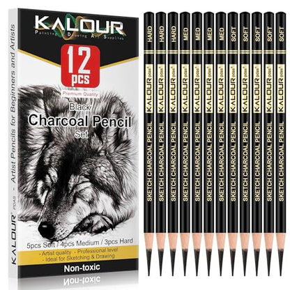 KALOUR Professional Charcoal Pencils Drawing Set -12 Pieces Soft, Medium and Hard Charcoal Pencils for Drawing, Sketching, Shading, Artist Pencils for Beginners & Artists - style: 12 Black Charcoal Pencils
