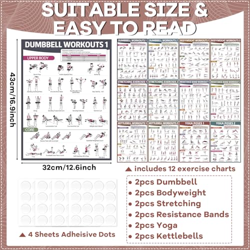 gisgfim 12 Retro Workout Posters for Home Gym Fitness Exercise Charts | dumbbells, bodyweight, stretching, resistance bands, yoga and kettlebells; 17 x 12.6 in, glossy front laminate - color: Retro