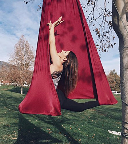F.Life Aerial Silk Yoga Hammock & Swing for yoga Inversion,Strength training,starter hardware kit - color: Dark red