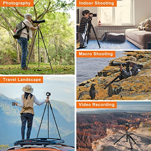 JOILCAN Tripod for Camera, 81" Aluminum Camera Tripod Stand, 83" DSLR Tripods & Monopods, Heavy Duty Travel Tripod for Binoculars Spotting Scope Telescope, Max Load 35lb | Tall DSLR Tripod with 360° Ball Head, Heavy Duty Travel Tripod for Binoculars Spott