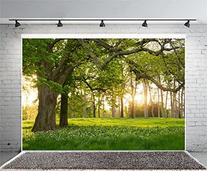 Tree Backdrop Garden Greenery Forest Green Spring Nature 8x6ft | Blooming Flower Field Grassland Sunlight Rural Scenery Photography Background Outdoor Camping Picnic Party Room Travel Decor - size: 8x6ft-polyester