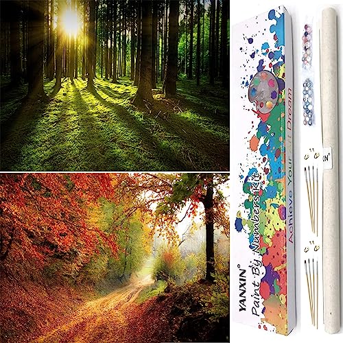 YANXIN Paint by Numbers Kit for Adults Beginners 2 Pack Paint by Numbers for Adults Rolled up Canvas for Home Decoration Creative Wall Art with Colorful Gift Box 12x16 inch Forest Sunrise 175-176 - color: YX8001-175-176