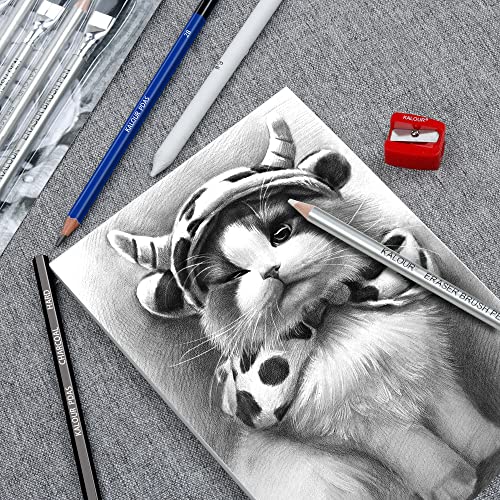 KALOUR Detail Eraser Pencil - 6pc Pencils with Brush and 2pc Sharpener,Erasing Small Details or add Highlights for Sketching, Charcoal Drawings. Fine Detail Eraser for Beginners & Artists
