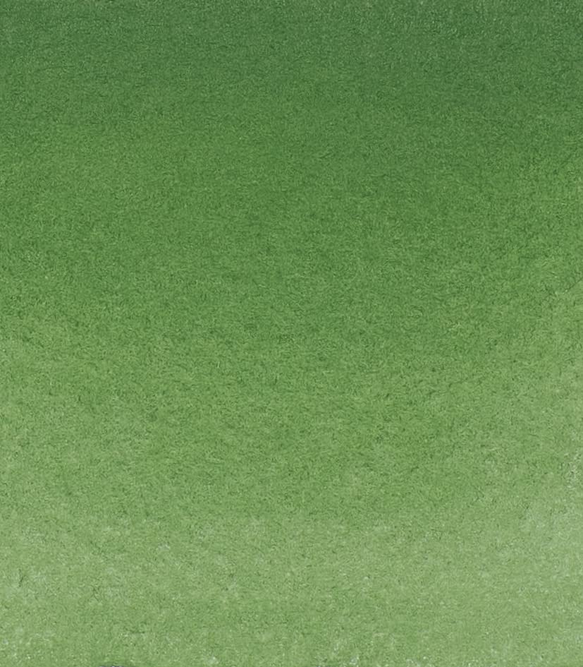 Schmincke - HORADAM® AQUARELL - Finest Artists' Watercolor Paints, 512 Chromium Oxide Green, 14 512 044, 1/2 pan - color: 512 Chromium Oxide Green
