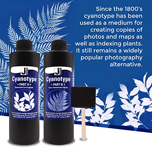 Jacquard Cyanotype Kit Sun Printing for Paper & Fabric Bundled Sponge Brush | 2 part Jacquard cyanotype Sun print chemistry, makes 65+ prints, works on cotton, silk, canvas, wood, leather & paper