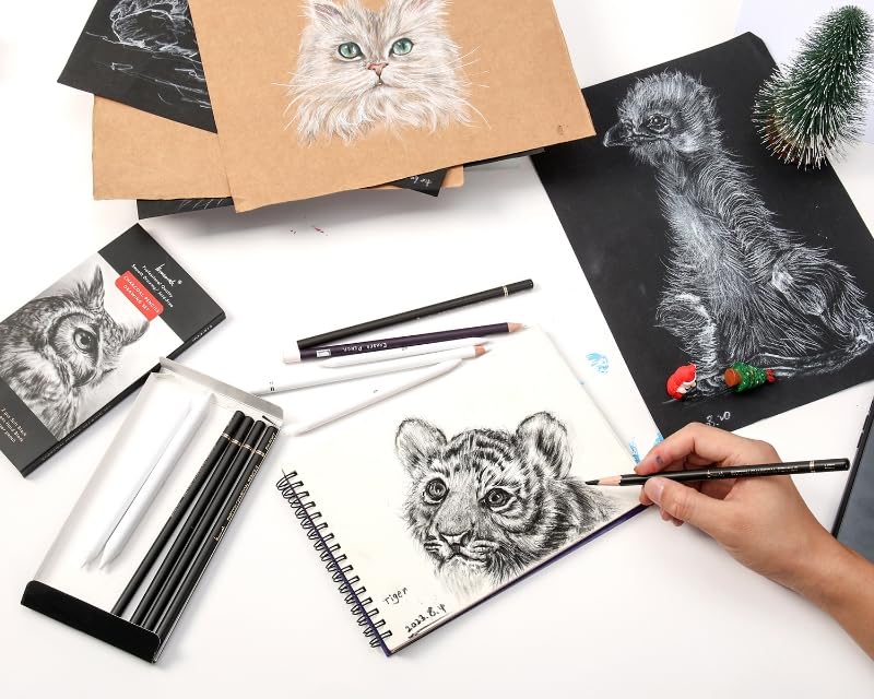 Brusarth Charcoal Drawing Set, 12 pcs Black charcoal pencils | White Charcoal Pencils, Eraser Pencils, Blending Stumps for Drawing, Sketching, Shading, Artist Pencils for Beginners - color: Black