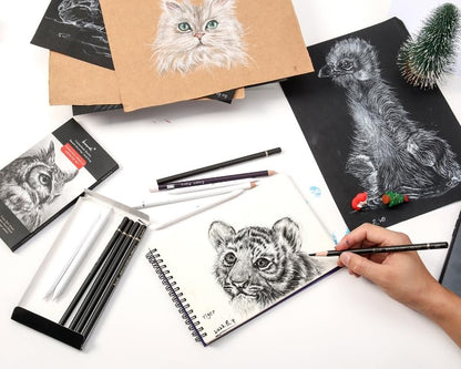 Brusarth Charcoal Drawing Set, 12 pcs Black charcoal pencils | White Charcoal Pencils, Eraser Pencils, Blending Stumps for Drawing, Sketching, Shading, Artist Pencils for Beginners - color: Black