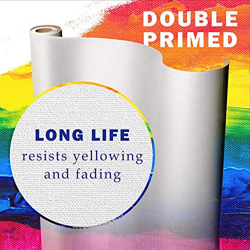 VViViD Double Primed Cotton Canvas Roll Choose Your Size! (1ft x 60") - size: 1ft x 60"