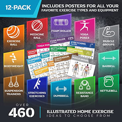 [12-PACK] Laminated Large Workout Poster Set - Perfect Workout Posters for Home Gym - Exercise Charts Incl. Dumbbell, Yoga Poses, Resistance Band, Kettlebell, Stretching & More Fitness Gym Posters - style: White