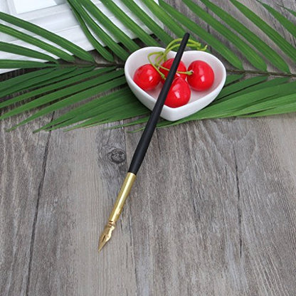 Tebatu Dip Pen Set, Wooden Handler Artist Signature Pen Set Calligraphy Dip Pens with 5 Nibs