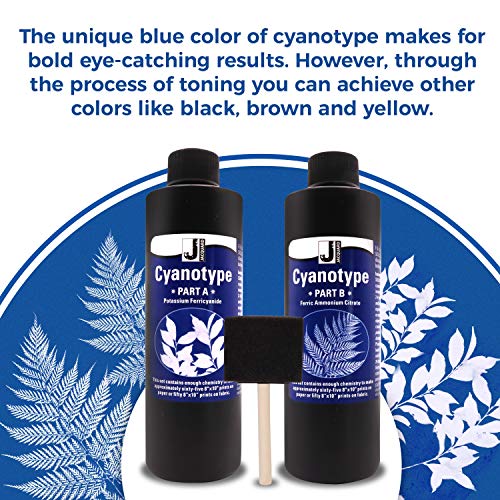 Jacquard Cyanotype Kit Sun Printing for Paper & Fabric Bundled Sponge Brush | 2 part Jacquard cyanotype Sun print chemistry, makes 65+ prints, works on cotton, silk, canvas, wood, leather & paper