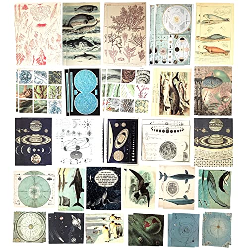 Esweny 200 Pieces Vintage Ephemera Scrapbooking Supplies Pack for Journaling, Decoupage Paper Scrapbook Stickers Kit for Junk Journal Planners Collage Craft Notebooks Album (Space and Sea) - style: Space and Sea