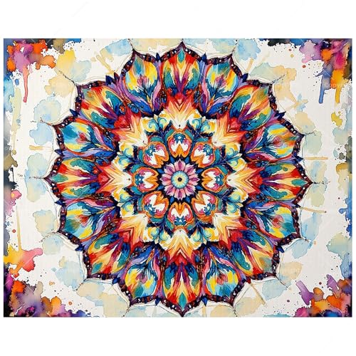 TAOPAOLAB Mandala Art Paint by Numbers Kit for Adults - DIY Colorful Mandala Painting on Canvas 12x16In, Framed Acrylic Paint Set, Suitable for Beginners, Meditation Art for Home Decoration or Gifts - color: FM03987, size: 12×16in Framed